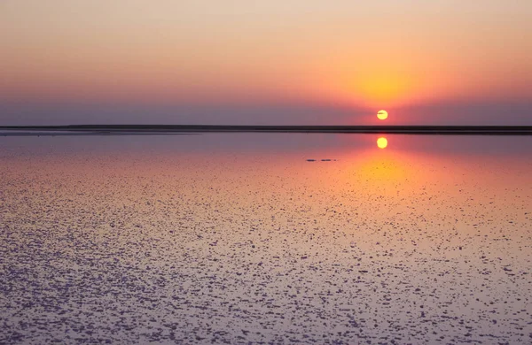 塩し、塩水微細藻類ドナリエラ夕暮れ色ピンク湖の — ストック写真