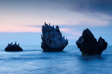 Renkli yaz deniz manzarası. gün batımında kuşlar ile kayalık adalar