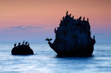 Renkli yaz deniz manzarası. gün batımında kuşlar ile kayalık adalar