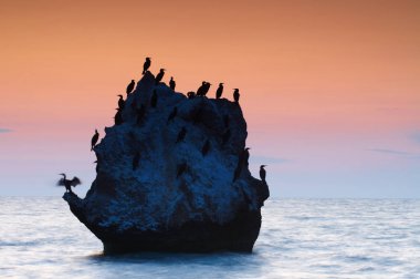 Renkli yaz deniz manzarası. gün batımında kuşlar ile kayalık ada