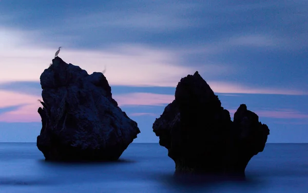 Барвистий літній морський пейзаж. скелясті острови з птахами на заході сонця — стокове фото