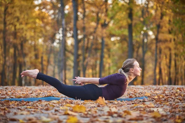 Красивая молодая женщина практикует йогу asana Salabhasana саранча поза на деревянной палубе в осеннем парке — стоковое фото