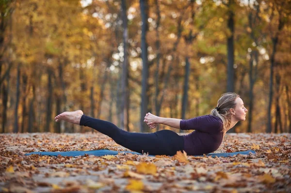 Красивая молодая женщина практикует йогу asana Salabhasana саранча поза на деревянной палубе в осеннем парке — стоковое фото