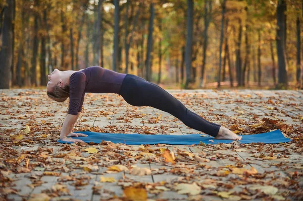 Красивая молодая женщина практикует йогу asana Purvottanasana вверх по доске Поза на деревянной палубе в осеннем парке . — стоковое фото