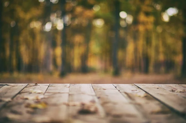 Terraza de piso de madera sobre fondo de bosque de otoño — Foto de Stock