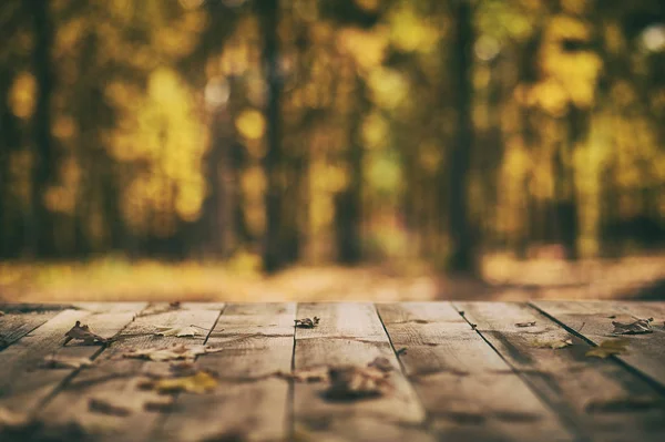 木地板阳台在秋天森林背景 — 图库照片