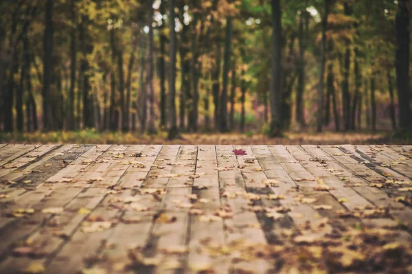 Terraza de piso de madera sobre fondo de bosque de otoño —  Fotos de Stock