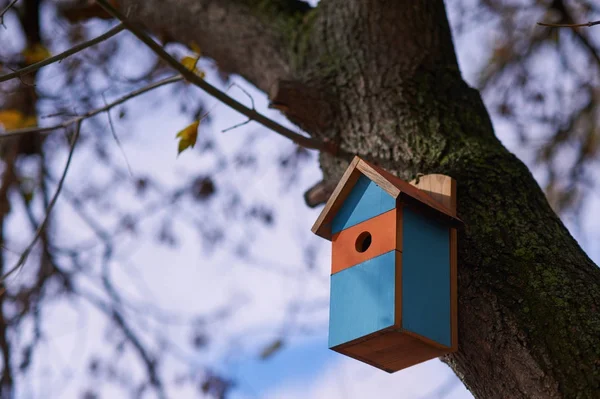 Belle maison d'oiseaux multicolore dans le parc . — Photo