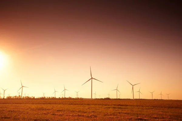 Ветряные турбины на закате — стоковое фото