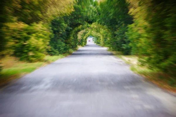 Visión del túnel: Velocidad de movimiento del camino en el bosque de asfalto Fondo de desenfoque del camino — Foto de Stock