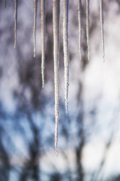 Hintergrund heller transparenter Eiszapfen im Sonnenlicht — Stockfoto