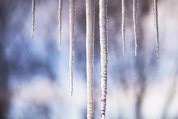 Hintergrund heller transparenter Eiszapfen im Sonnenlicht — Stockfoto