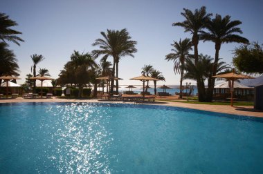 tropikal tatil güzel Yüzme Havuzu. Dahab, Mısır