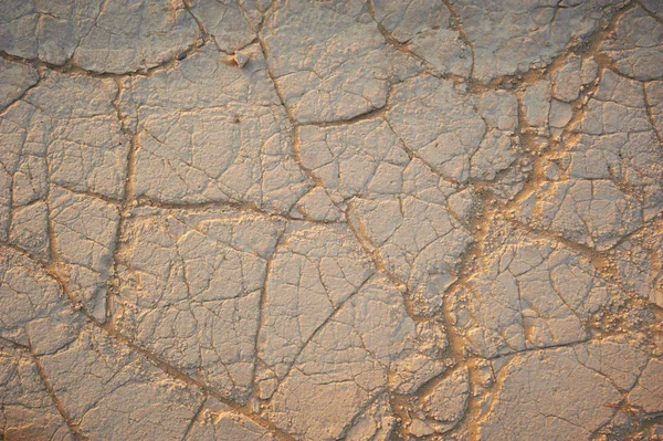 Vue de dessus terre fissurée — Photo