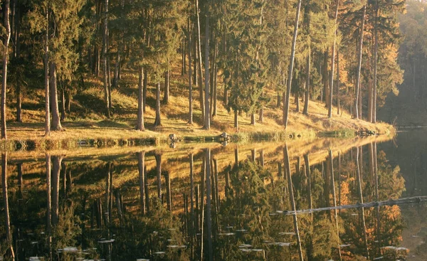 Bosque de pino de coníferas y lago otoño paisaje clima malhumorado — Foto de Stock