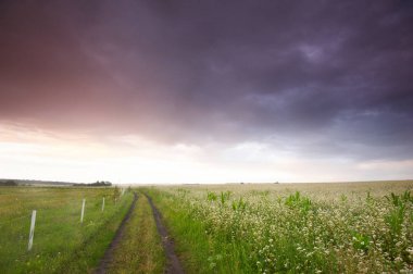 Yeşil çayır alan yolda.