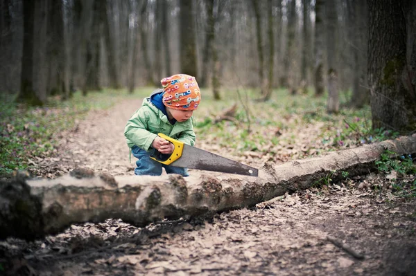 Маленький хлопчик розпилює в лісі впале дерево — стокове фото