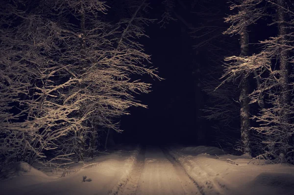 Пейзаж жуткого зимнего леса, покрытого снегом — стоковое фото