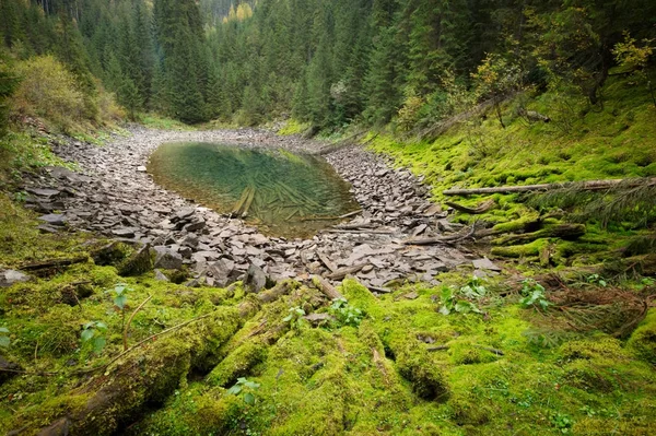 Hermoso lago de montaña en el verde bosque salvaje — Foto de Stock