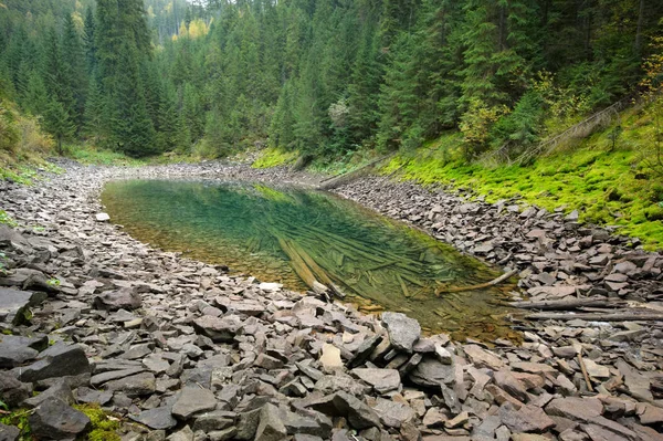 Hermoso lago de montaña en el verde bosque salvaje — Foto de Stock