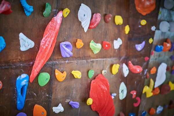 Wooden wall with climbing holds in gym