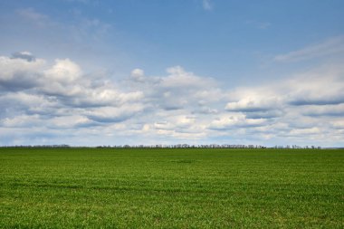 Yeşil çayır ve mavi gökyüzü gün batımında bulutlarla.