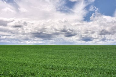 Yeşil çayır ve mavi gökyüzü gün batımında bulutlarla.