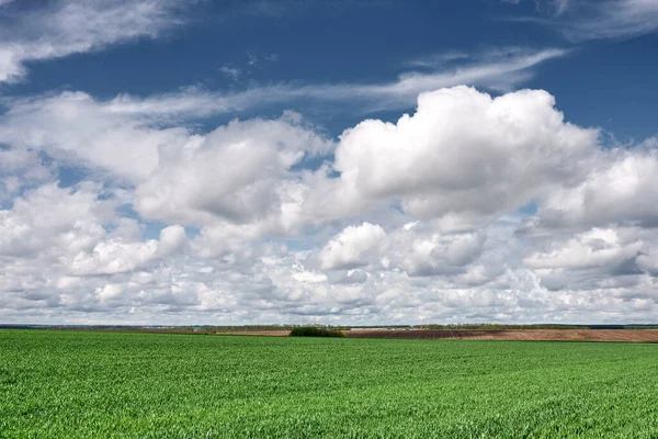석양에 구름이 과푸른 — 스톡 사진