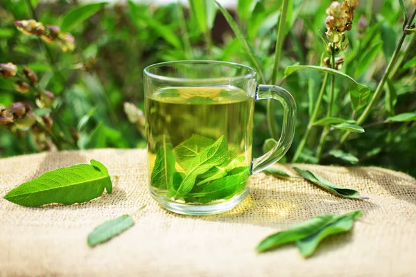 Chá de sábio de ervas — Fotografia de Stock