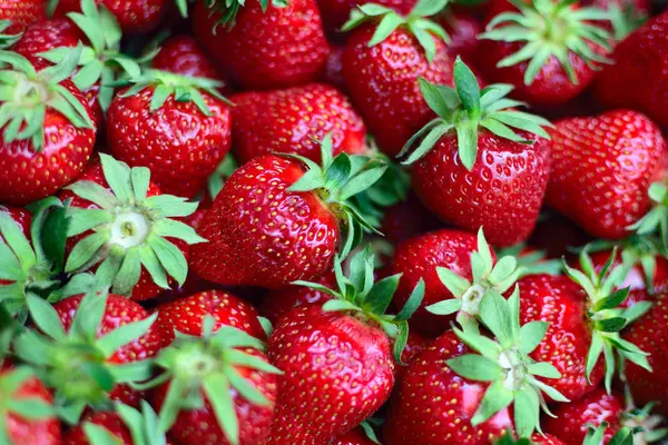 Frische Erdbeeren Hintergrund — Stockfoto