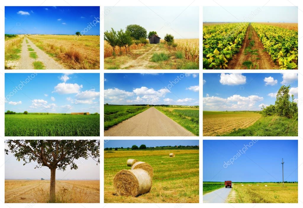 agriculture field collage