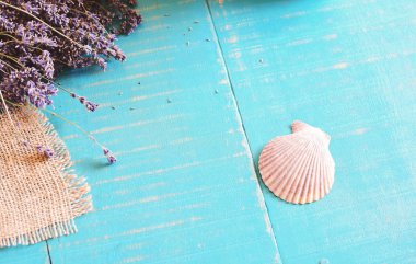 Lavanta spa konsepti