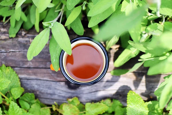 Smalto Tazza Vista Dall Alto Una Tazza Tisana Tazza Salvia — Foto Stock