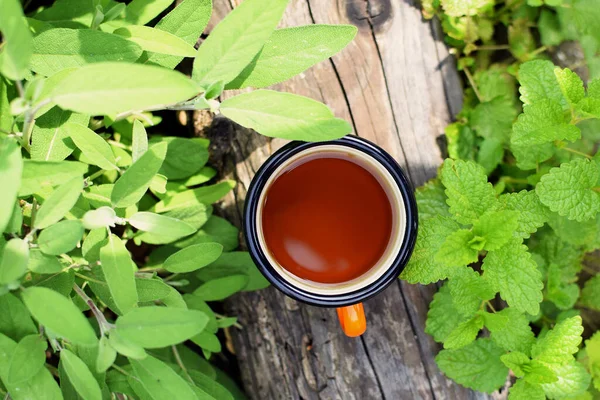 Enamel cup of tea top view. Cup of herbal tea. Cup of sage tea in the garden