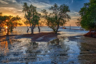 Tayland, Krabi Eyaleti. Gün doğumu, denizin alçak gelgiti