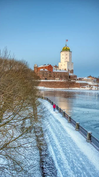 Vyborg Rusland Kasteel Het Eiland Vroege Winter — Stockfoto