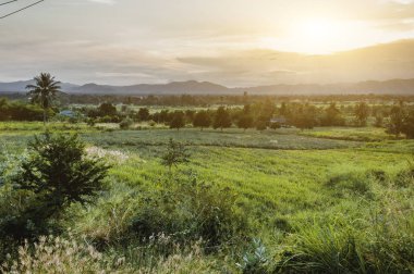Günbatımı yaz çayır ve dağ zemin üzerinde.