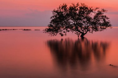 Dusk önce Lam Sai, Sikao, Trang, Tayland.
