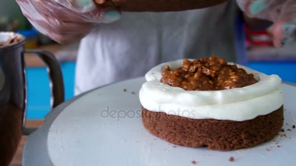 チョコレートのクリーム ケーキ — ストック動画