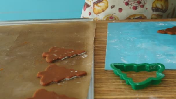 Dívka kuchař připraví soubory cookie — Stock video