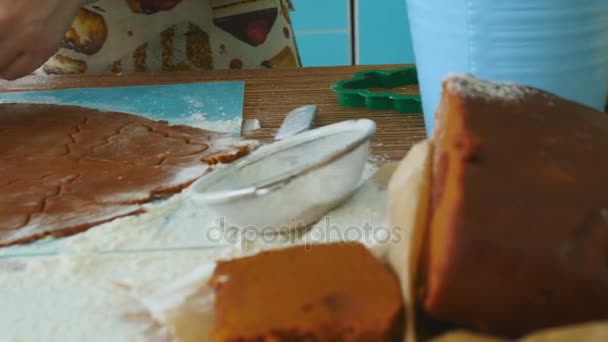 Pastry Chef Prepares a Christmas Gingerbread — Stock Video