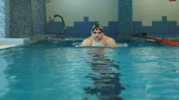 Professionell åtgärd Man simma i poolvattnet — Stockvideo