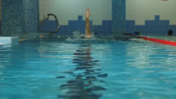 Профессиональный спортсмен плавает в бассейне — стоковое видео