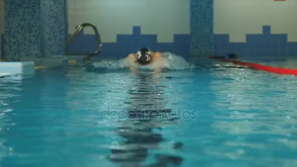 Professionele Sport Man zwemmen in het zwembad Water — Stockvideo