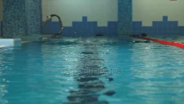 Hombre fuerte profesional nadando en la piscina Agua — Vídeos de Stock