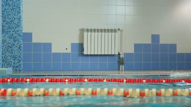 Natação Profissional na Piscina — Vídeo de Stock