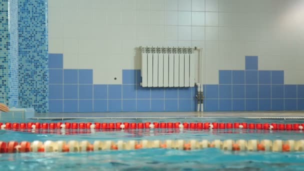 Esportes cara nada na piscina — Vídeo de Stock