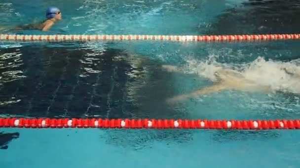 Deportes Natación en la piscina — Vídeos de Stock