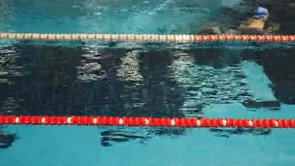 Парень плавает спиной в бассейне — стоковое видео
