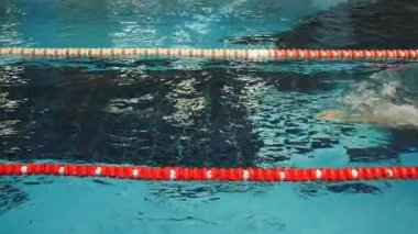 Sportif adam eğitim yüzme havuzunda